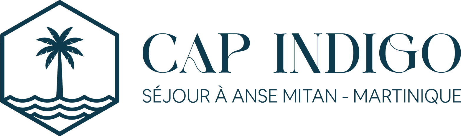 CAP INDIGO Logo